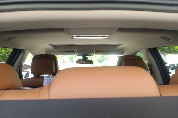 Used BMW X6  Headliner
