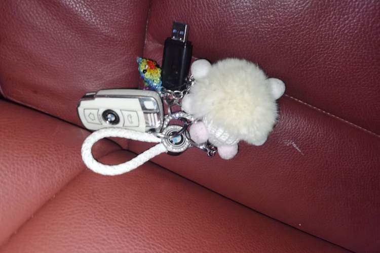 Used BMW X6  Vehicle Key