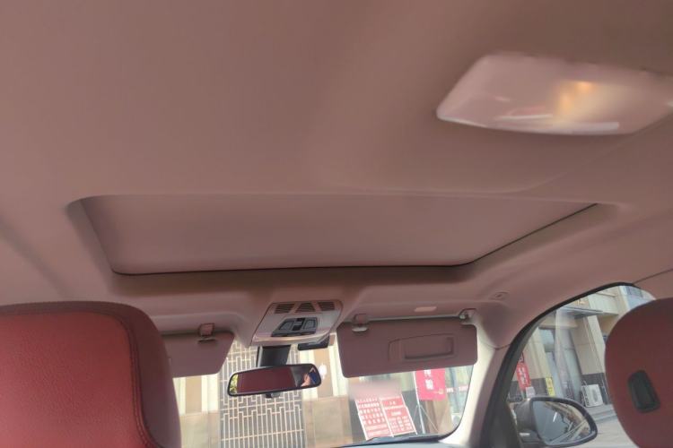 Used BMW X6  Headliner