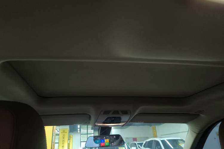 Used BMW X6 2015 xDrive35i Luxury Edition Headliner