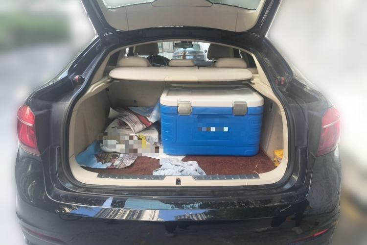 Used BMW X6 2015 xDrive35i Leading Model Trunk