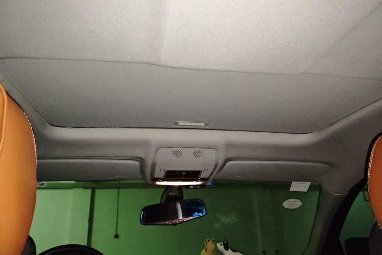 Used BMW X6  Headliner
