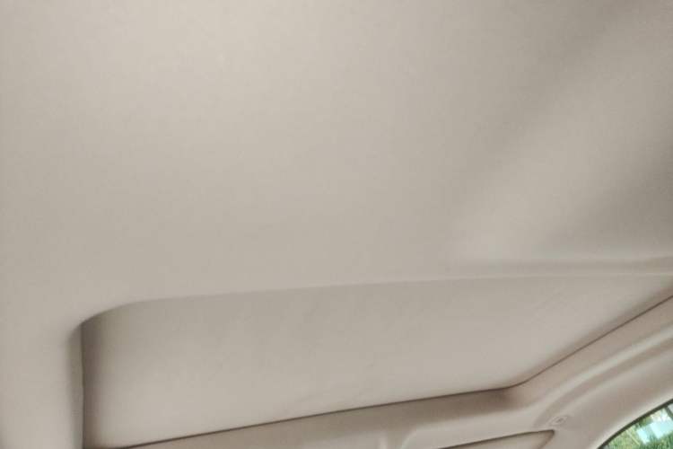 Used BMW X6 2015 xDrive28i Headliner