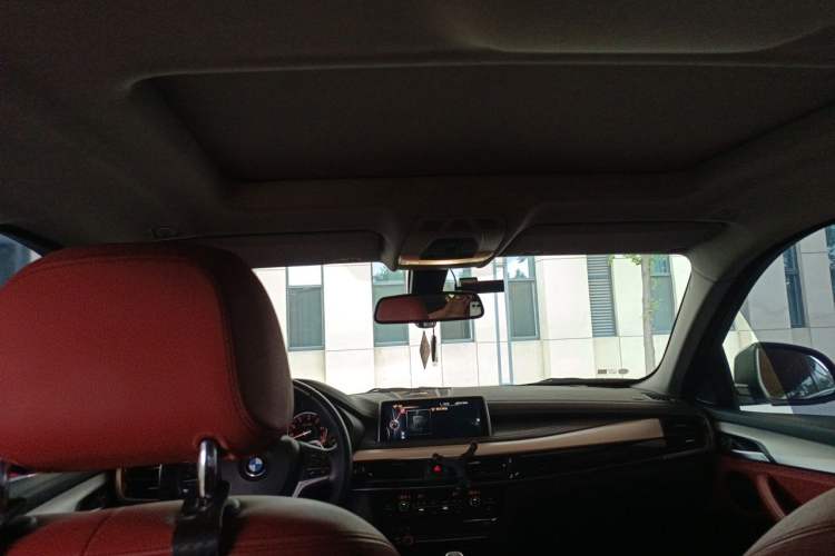 Used BMW X6  Headliner
