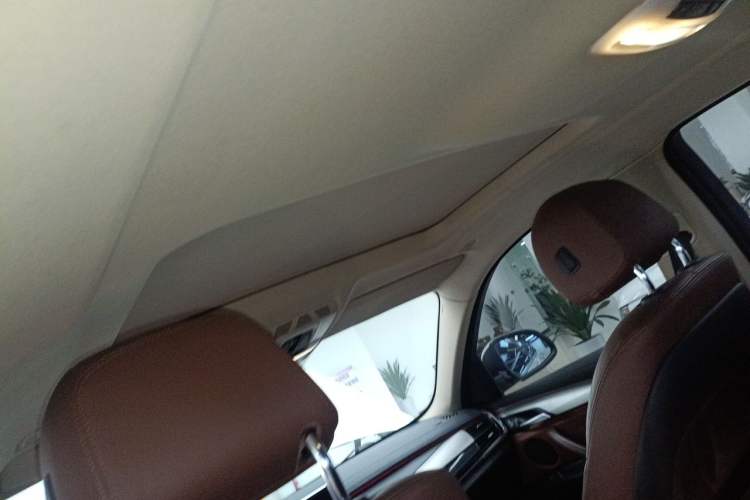 Used BMW X6  Headliner