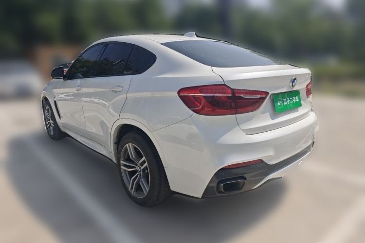 Used BMW X6  Rear Left 45 Deg