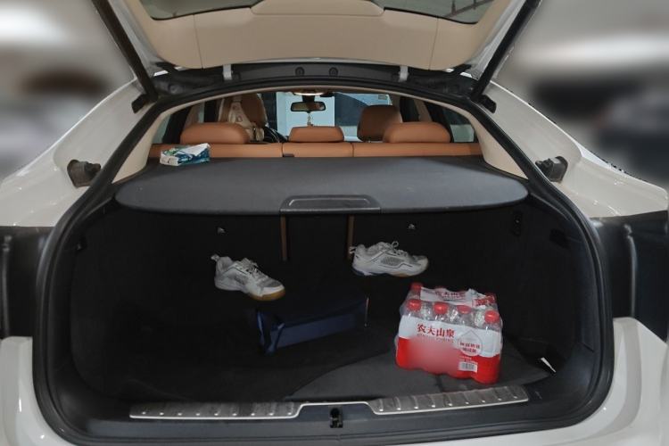 Used BMW X6 2015 xDrive28i Trunk