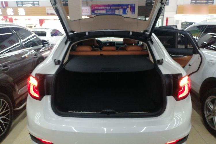 Used BMW X6 2015 xDrive35i Leading Model Trunk