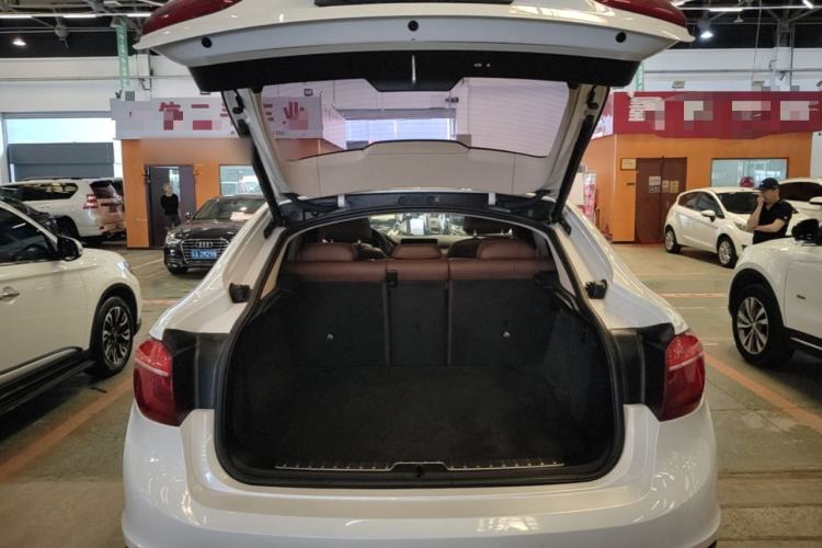 Used BMW X6 2015 xDrive35i Leading Model Trunk