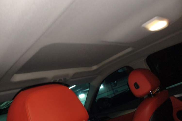 Used BMW X6  Headliner