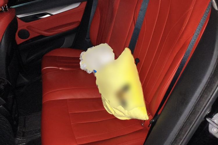 Used BMW X6  Left Rear Seat