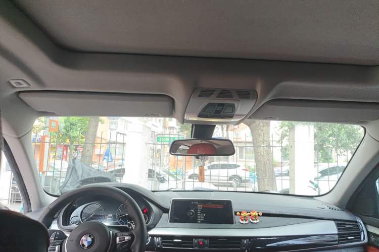 Used BMW X6  Headliner