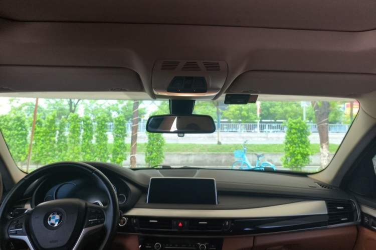 Used BMW X6  Headliner