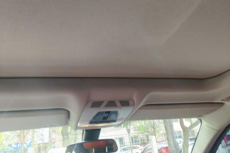 Used BMW X6  Headliner