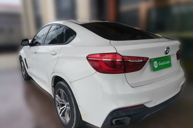 Used BMW X6  Rear Left 45 Deg