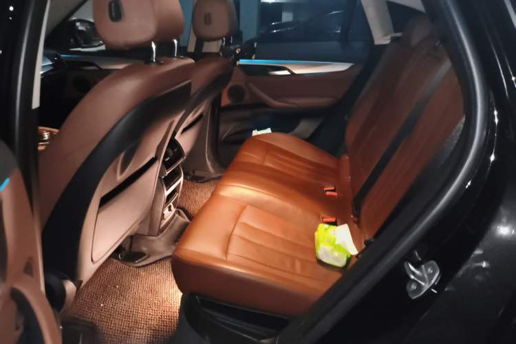 Used BMW X6 2017 xDrive35i Leading Model Left Rear Seat
