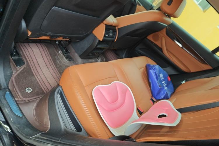 Used BMW X6 2017 xDrive35i Leading Model Left Rear Seat