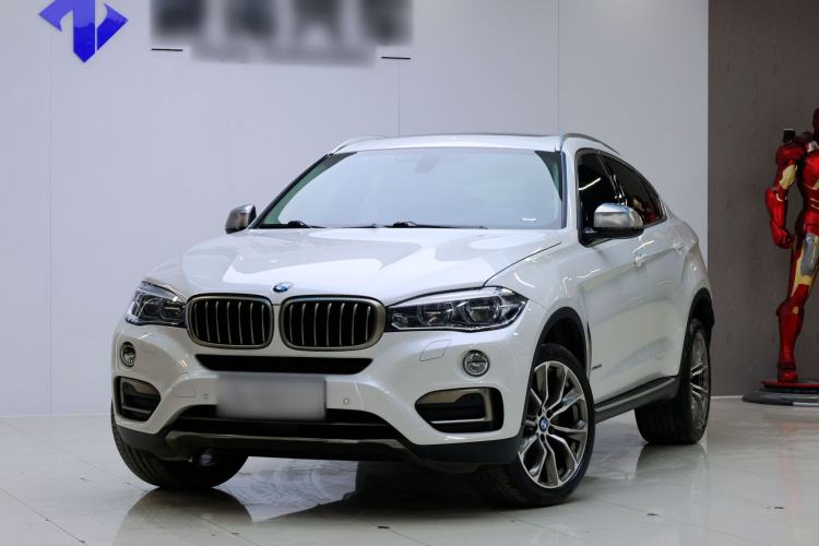 Used BMW X6 2017 xDrive35i Luxury Edition Exterior 6