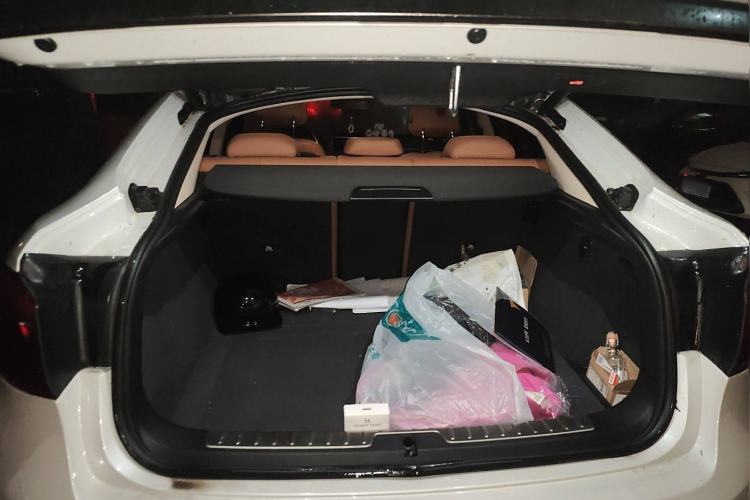 Used BMW X6 2017 xDrive28i Trunk