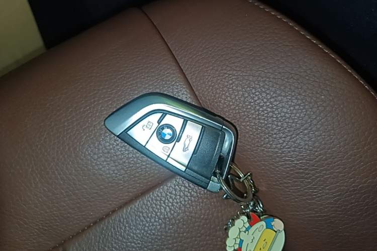 Used BMW X6 2017 xDrive35i Leading Model Vehicle Key