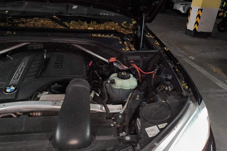 Used BMW X6 2018 xDrive35i Leading Model Engine Bay Left