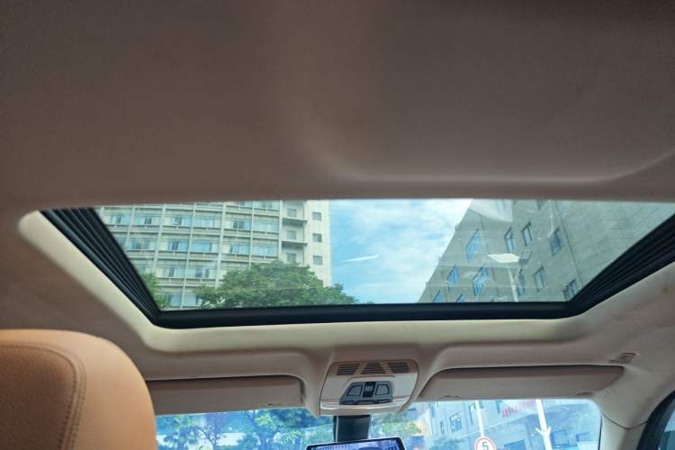Used BMW X6  Headliner
