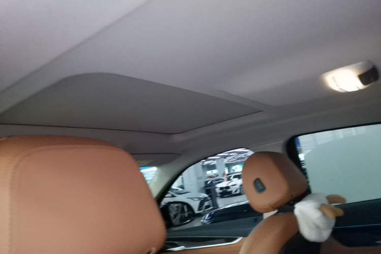 Used BMW X6 2018 xDrive28i Headliner