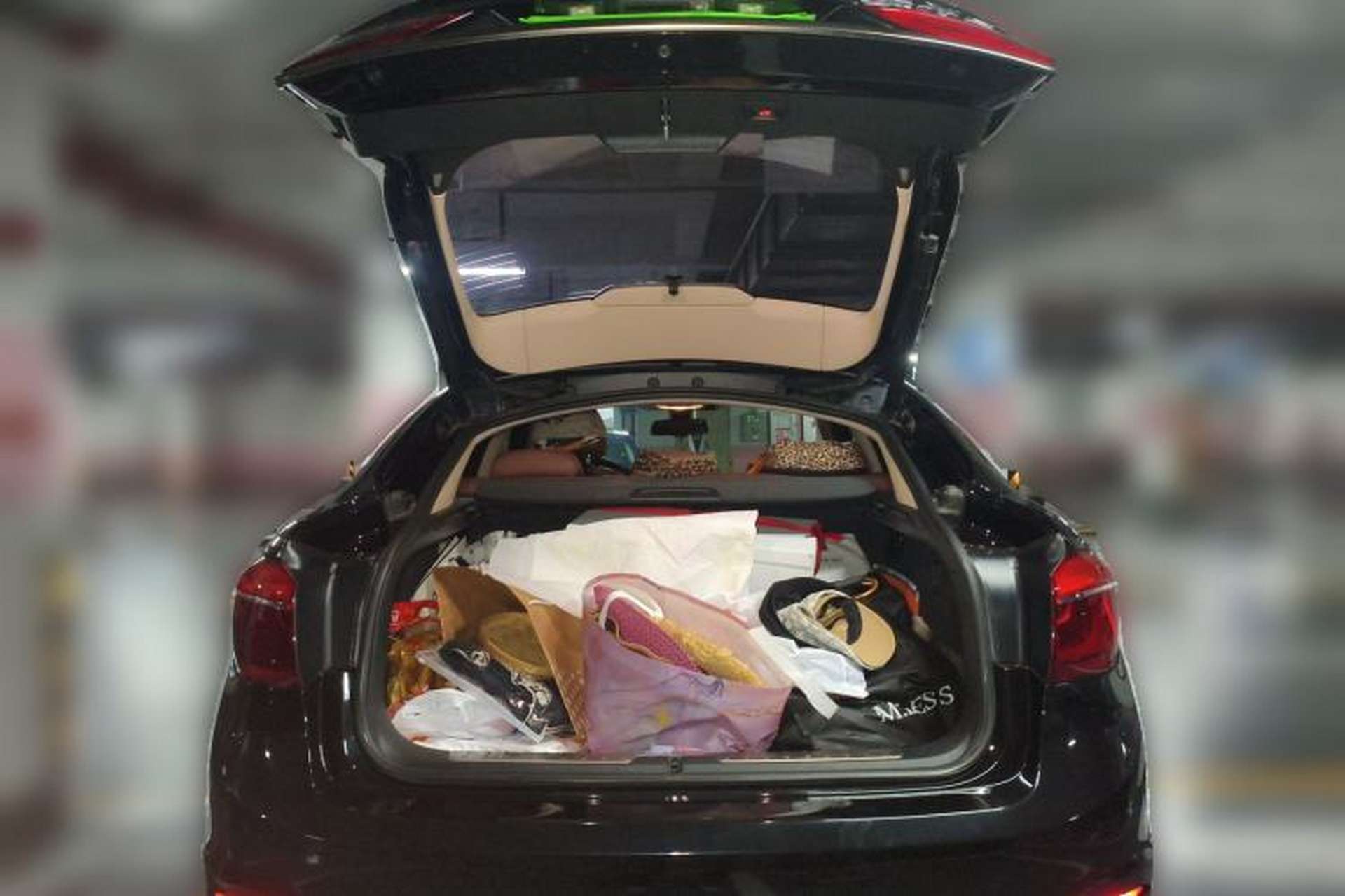 Used BMW X6 2018 xDrive28i Trunk