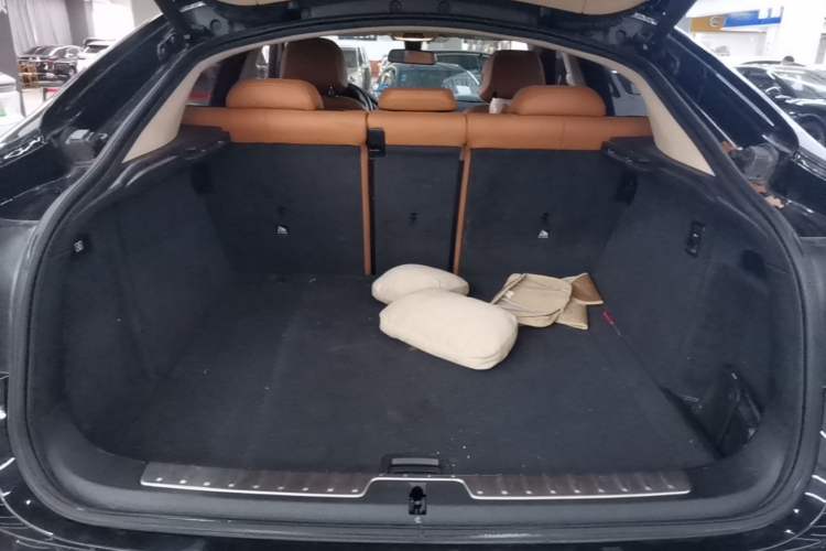 Used BMW X6 2018 xDrive28i Trunk