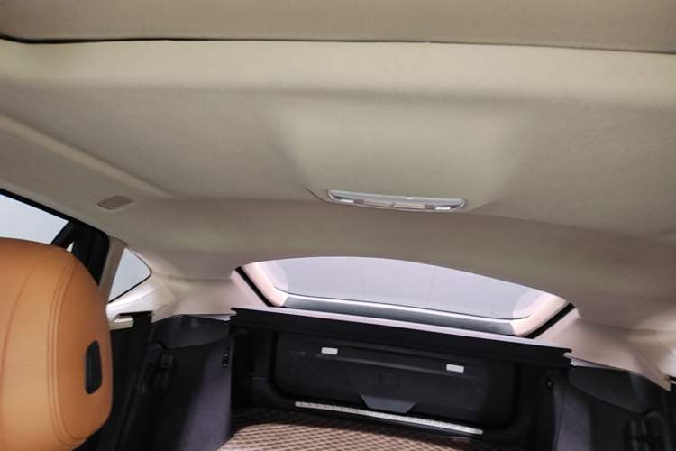 Used BMW X6 2018 xDrive28i Headliner