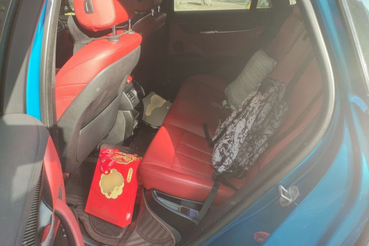 Used BMW X6 2018 xDrive35i Leading Model Left Rear Seat