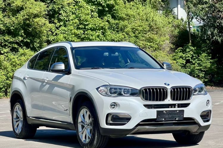 Used BMW X6 2018 xDrive28i Exterior 5