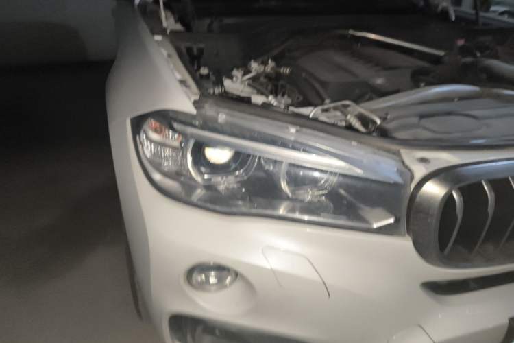 Used BMW X6 2018 xDrive35i Leading Model Exterior 6