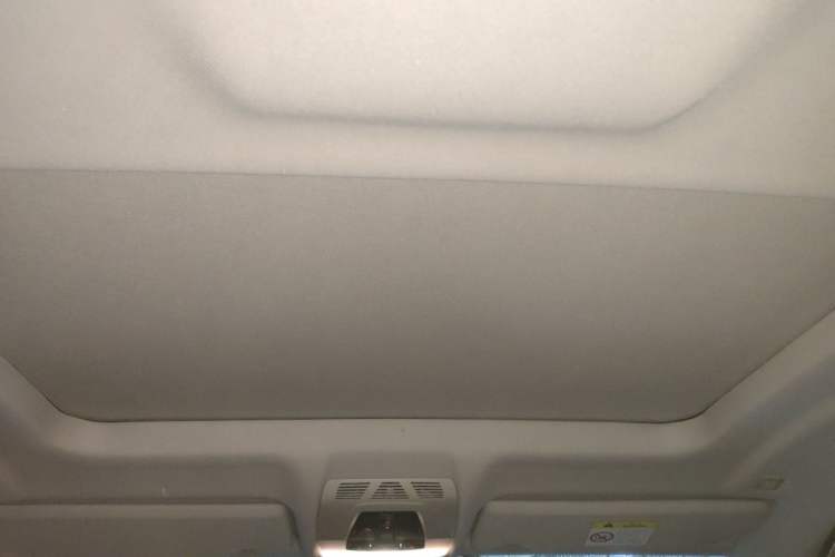 Used BMW X6 2018 xDrive28i Headliner