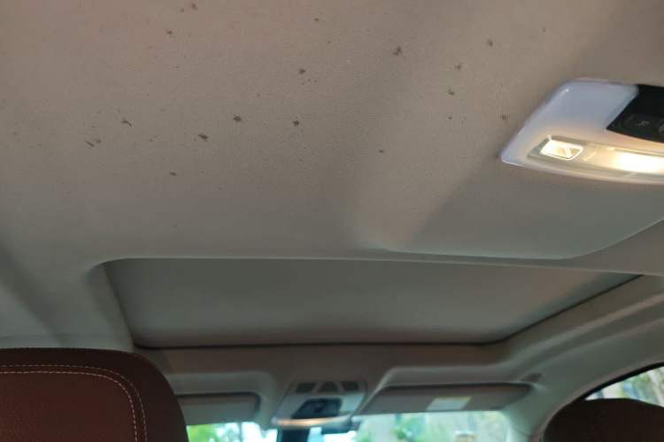 Used BMW X6 2018 xDrive28i Headliner