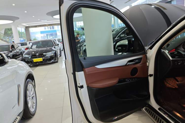 Used BMW X6 2018 xDrive35i Leading Model Left Front Door Interior