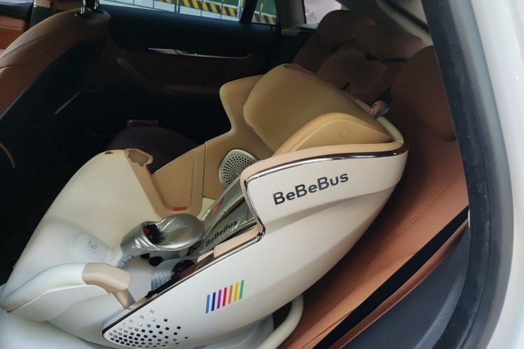Used BMW X6 2018 xDrive28i Left Rear Seat