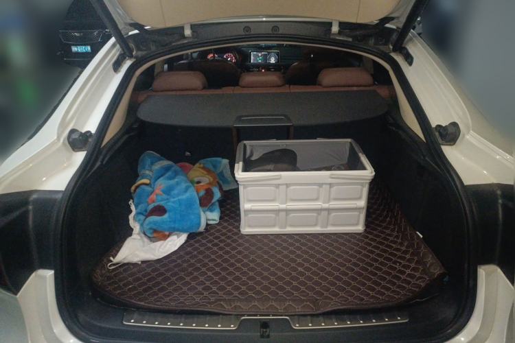 Used BMW X6 2018 xDrive28i Trunk