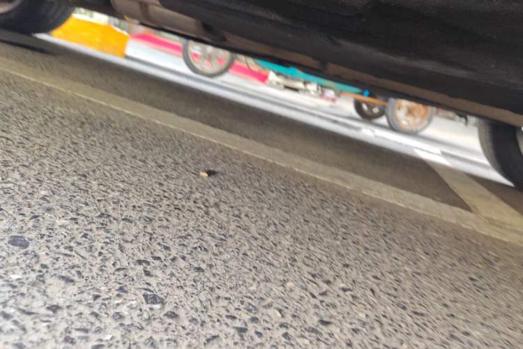 Used BMW X6 2019 xDrive28i M Sport Package Chassis Rear Left