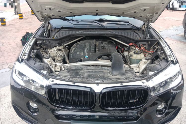 Used BMW X6 2019 xDrive35i M Sport Package Engine Bay