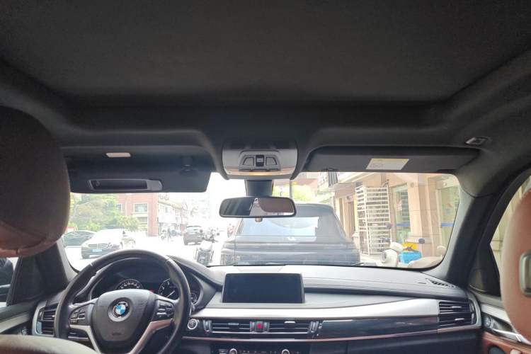 Used BMW X6 2019 xDrive28i M Sport Package Headliner