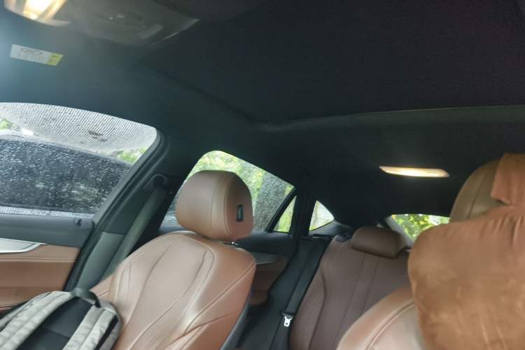 Used BMW X6 2019 xDrive28i M Sport Package Headliner
