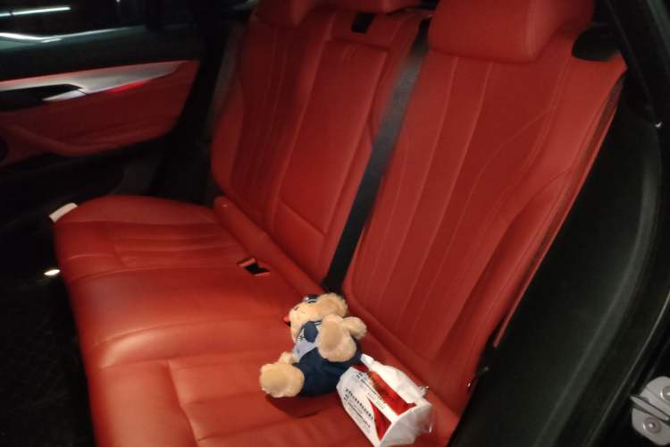 Used BMW X6 2019 xDrive28i M Sport Package Left Rear Seat