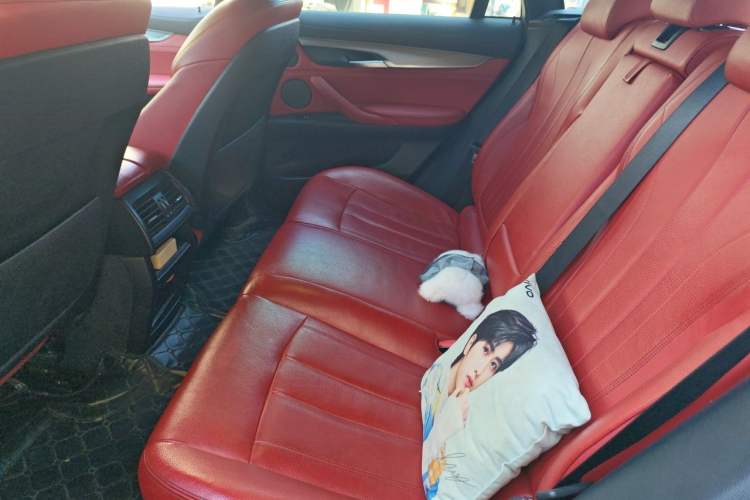 Used BMW X6 2019 xDrive35i M Sport Package Left Rear Seat