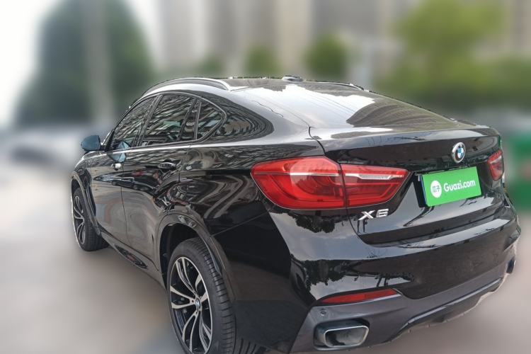Used BMW X6 2019 xDrive35i M Sport Package Rear Left 45 Deg
