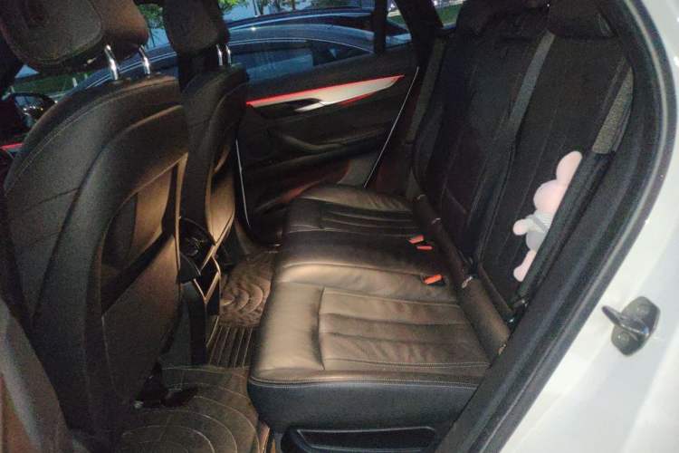 Used BMW X6 2019 xDrive28i M Sport Package Left Rear Seat