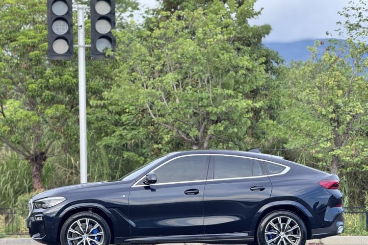 Used BMW X6 2020 xDrive30i M Sport Package Exterior 1