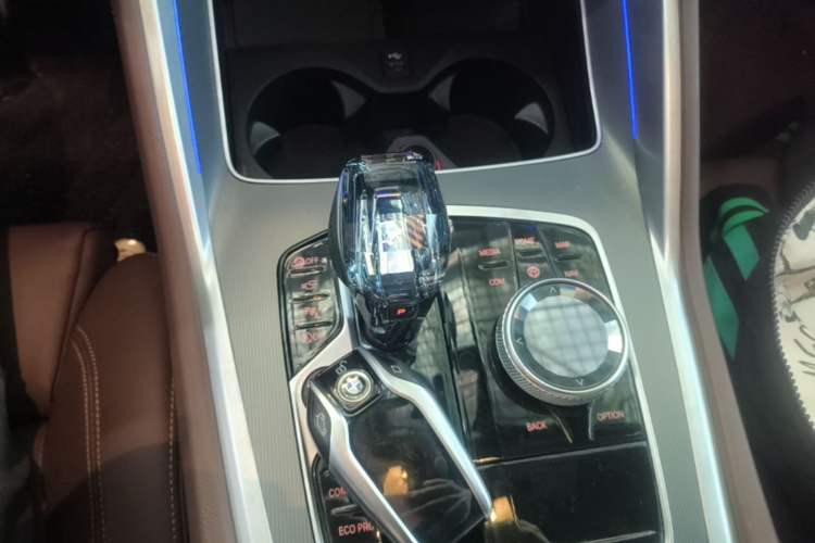 Used BMW X6 2020 xDrive30i M Sport Package Gear Lever