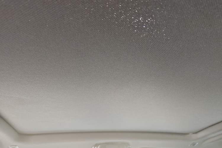 Used BMW X6 2020 xDrive30i M Sport Package Headliner