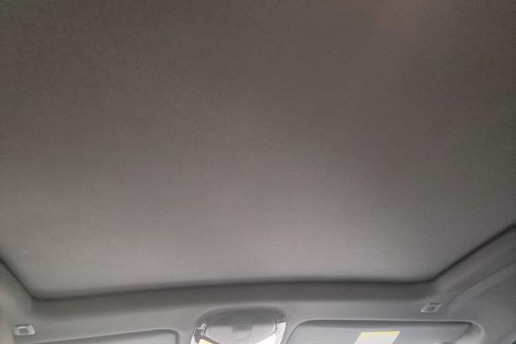 Used BMW X6 2020 xDrive30i M Sport Package Headliner